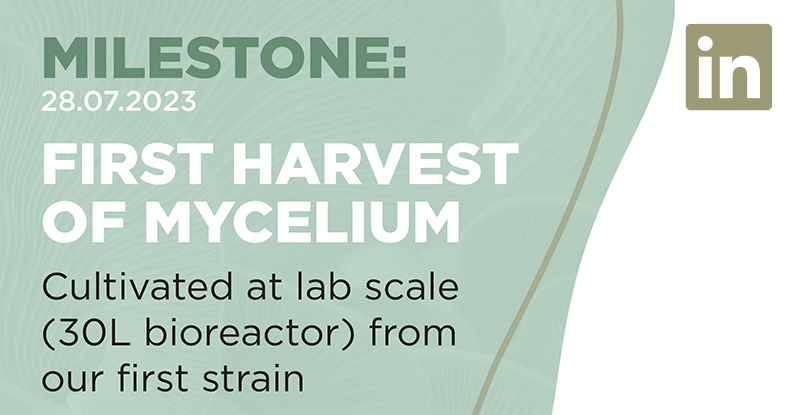 Blog-feature-pic-milestone-mycosure