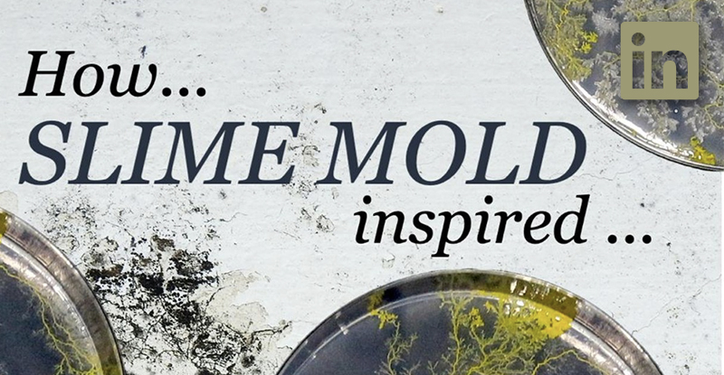Blog-feature-pic-slime-mycosure